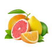 citrus_1